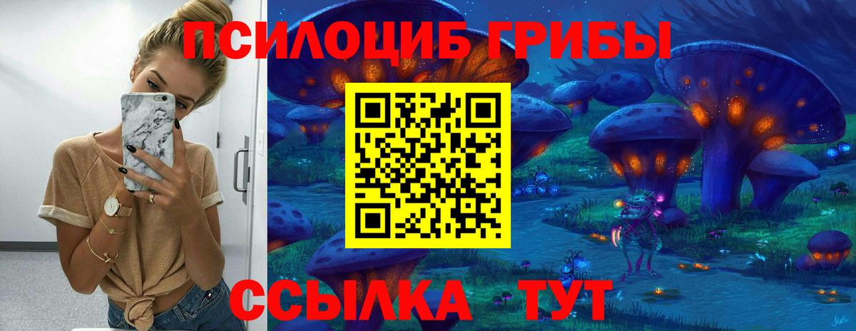 хочу   Псилоцибиновые грибы Psilocybe  Вход с VPN  Наро-Фоминск 